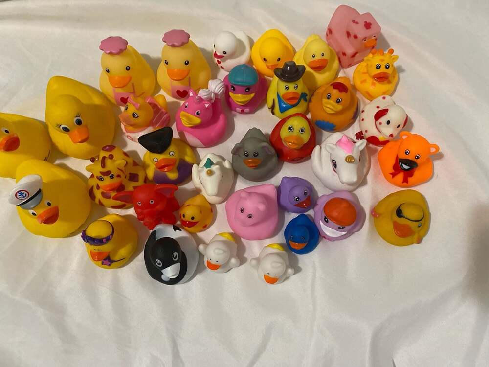 Rubber Ducks for the Jeep enthusiast- 31  count